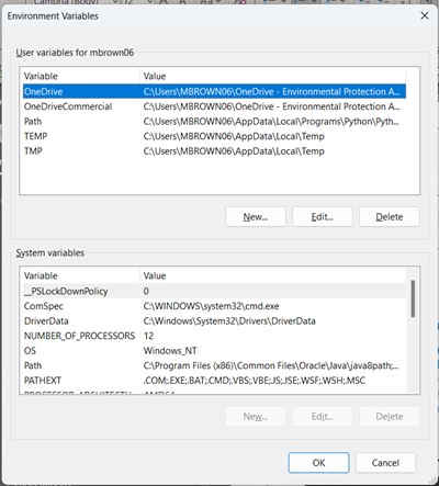 Screenshot of User Environment Variables