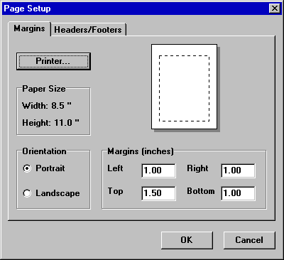 Page Setup in EPANET