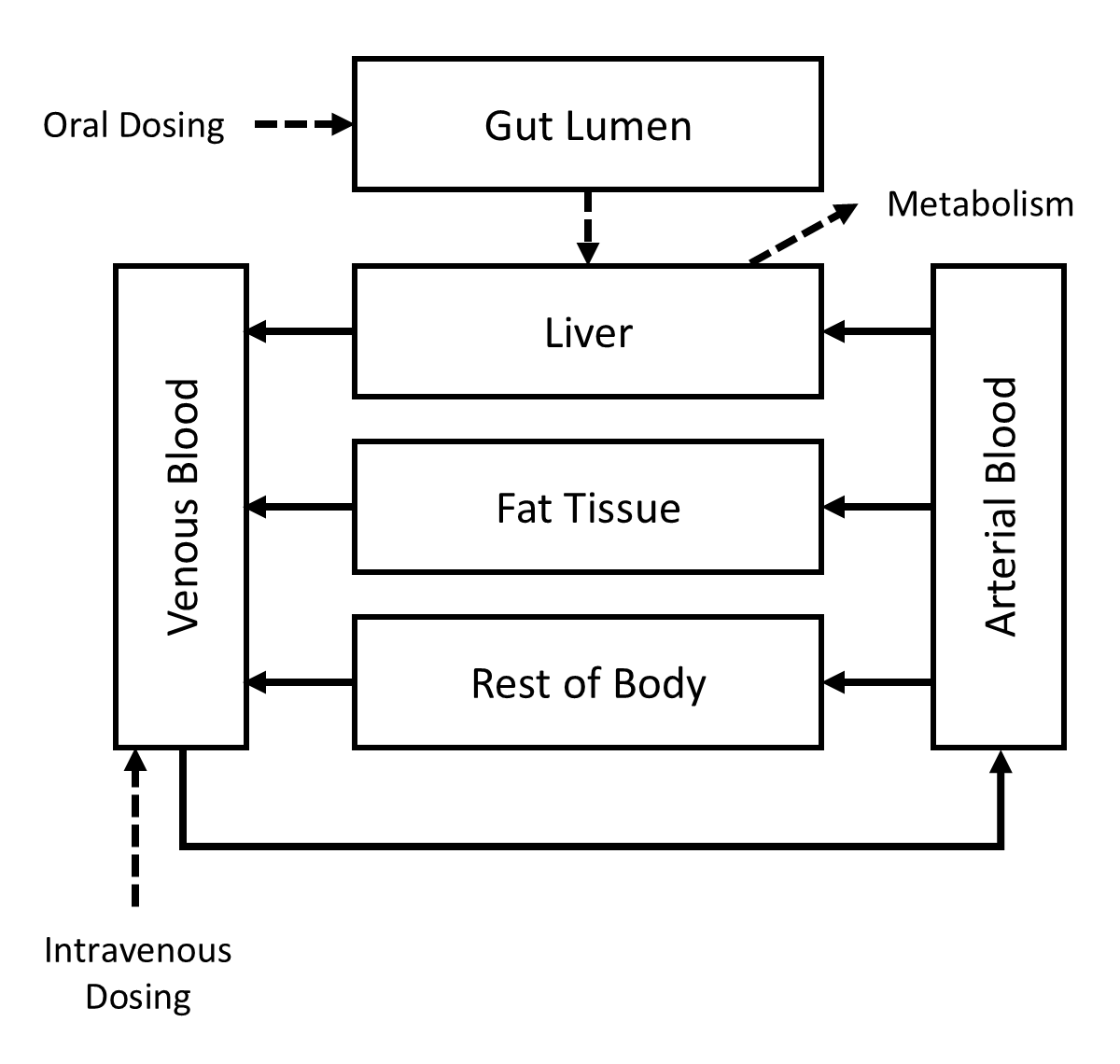 Figure 1: A simple PBPK model