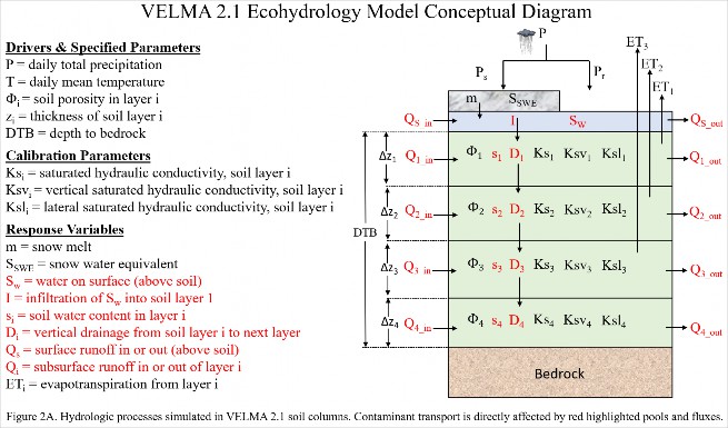 Ecohydrology model conceptual diagram